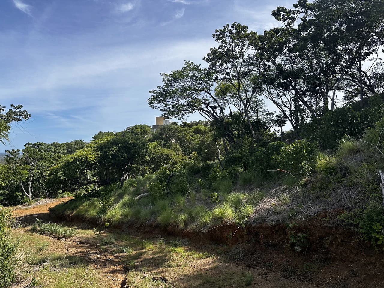 Ocean View Lot Negra Beach: Ocean View Hilltop Lot In Negra Beach, Finca Los Pargos - photo 14