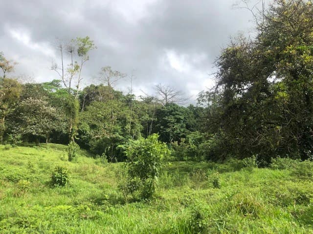 Hot and Cold Thermal Springs for Sale – Beautiful Property in Dos Ríos, Alajuela with Excellent Commercial Potential - photo 6