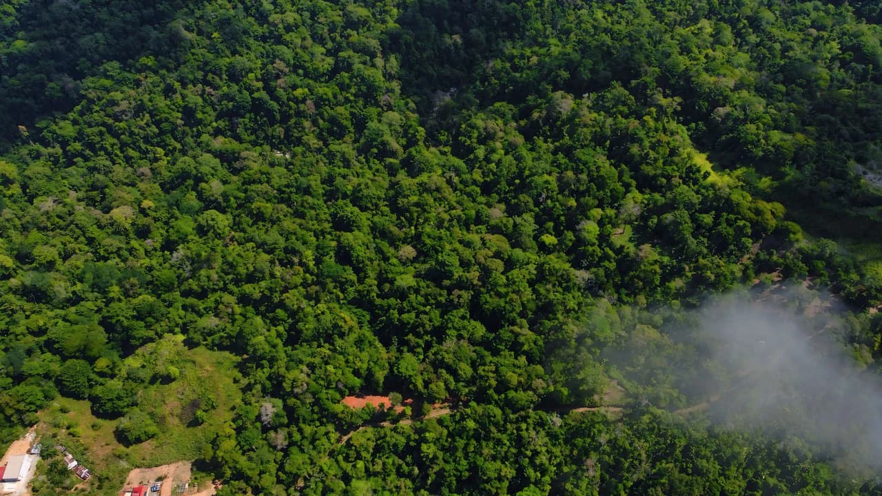 FINCA CERRO DEL TIGRE! OVER 20 ACRES OF PRIMARY FOREST AND WATERFALLS.: Mountain Agricultural Land For Sale in La Unión - photo 5
