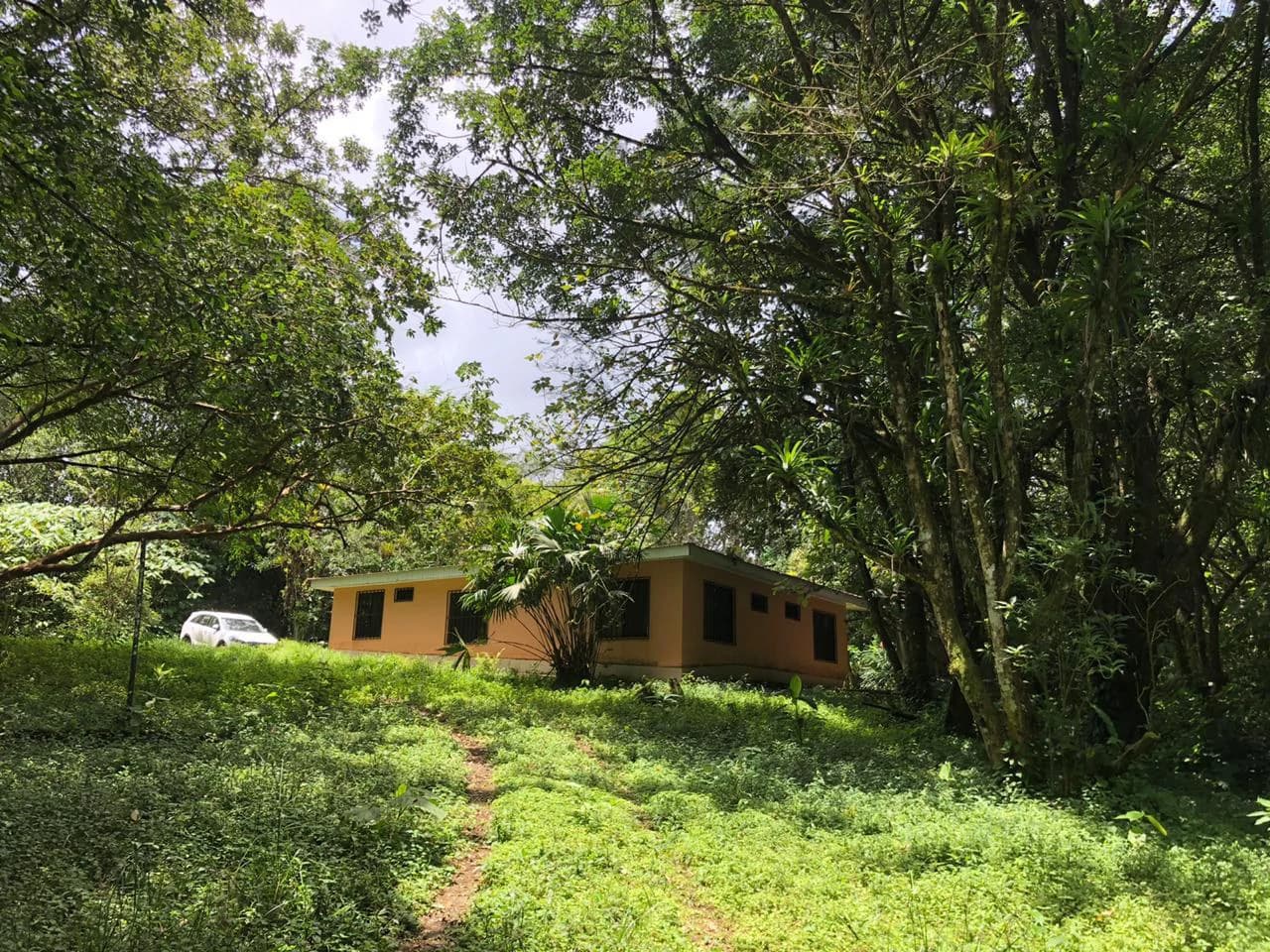 Hot Springs Property in Dos Ríos de Upala – Excellent Investment Opportunity - photo 28