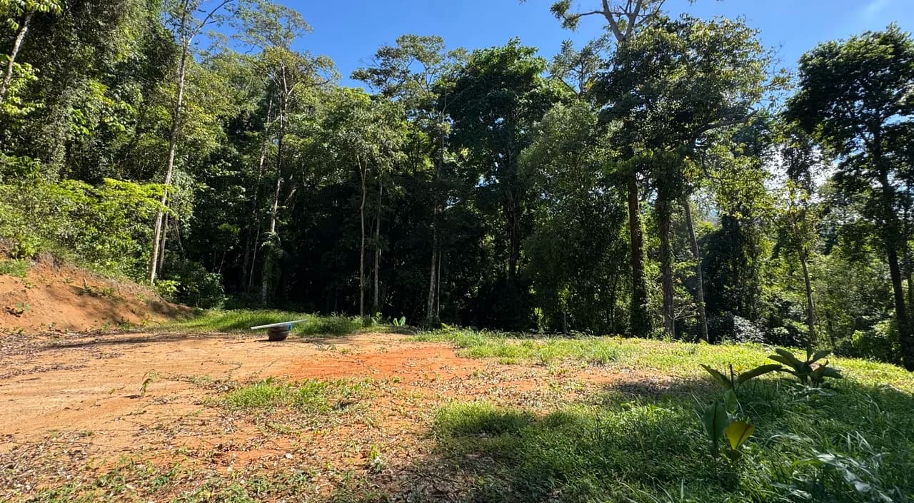Two Ocean View Lots in Uvita – Easy Access and Large Building Sites - photo 11