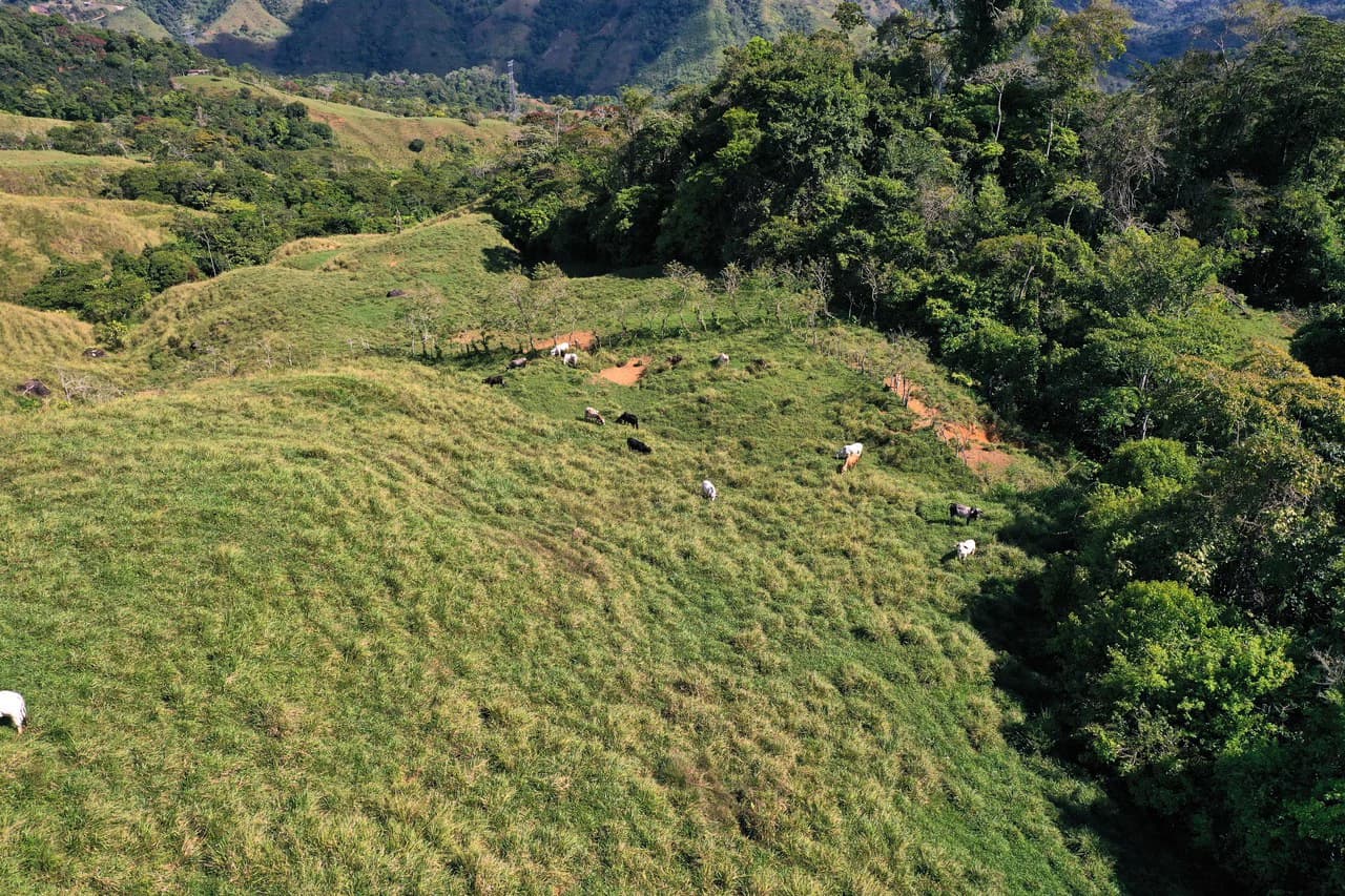 150 Acre Cattle Ranch with Panoramic Views Above the mountains of Uvita - photo 26