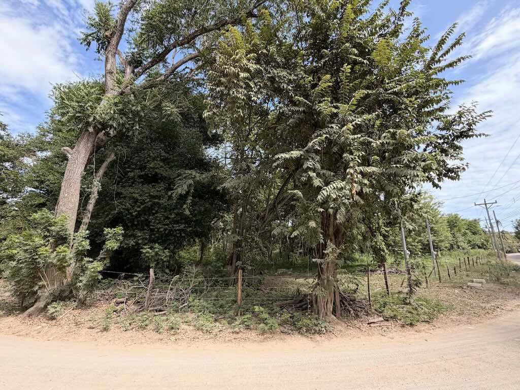 Build-Ready Lot: Palm Beach Estates - photo 6