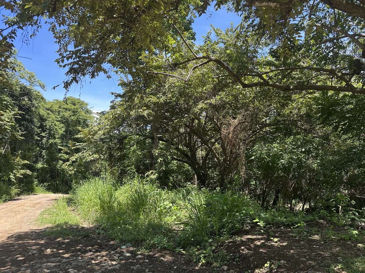Lote by Naranjo Beach - Blue zone: Ocean View Lot By The Beach: Nicoya Peninsula - photo 8
