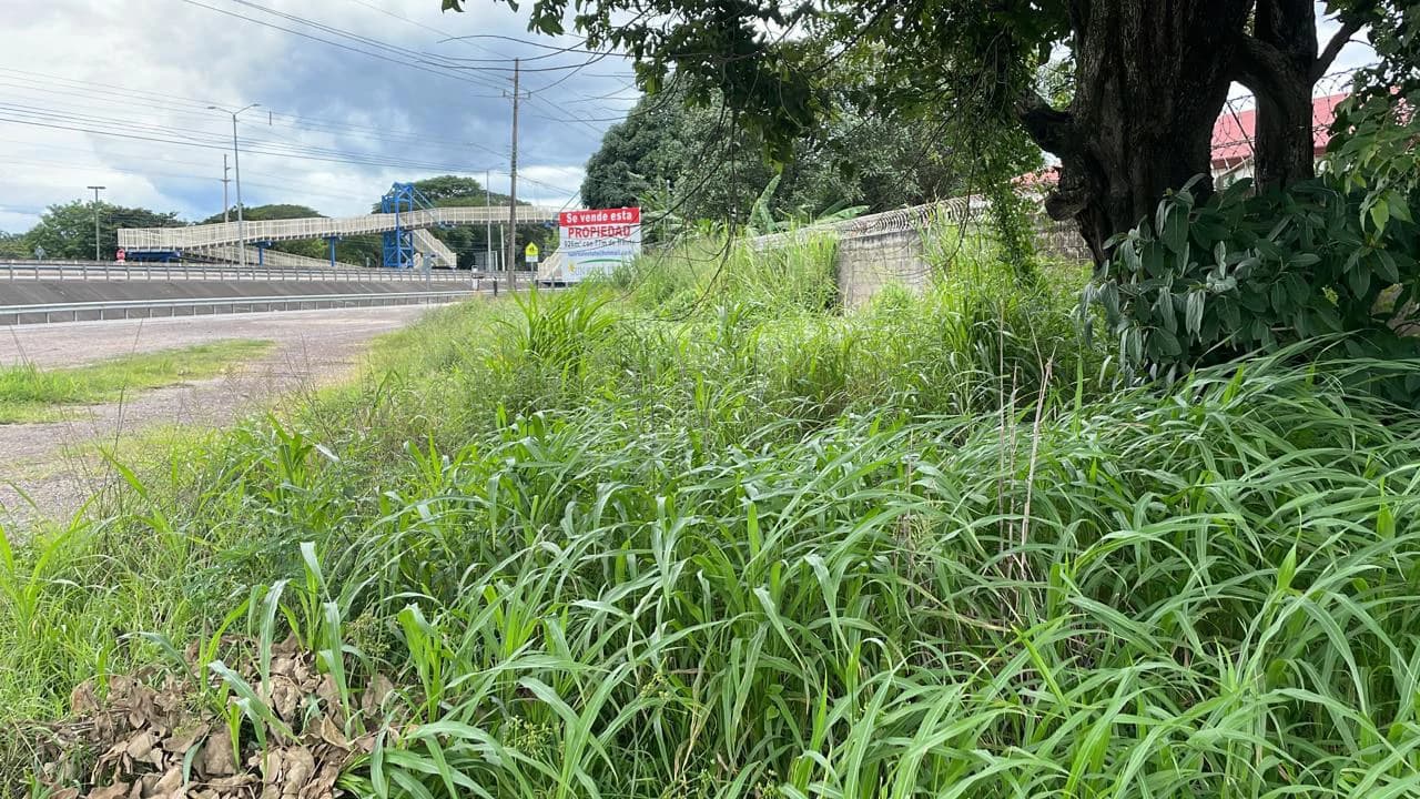 Commercial property for sale in Liberia center in front of the Mall on the main Inter american highway # 1 - photo 5
