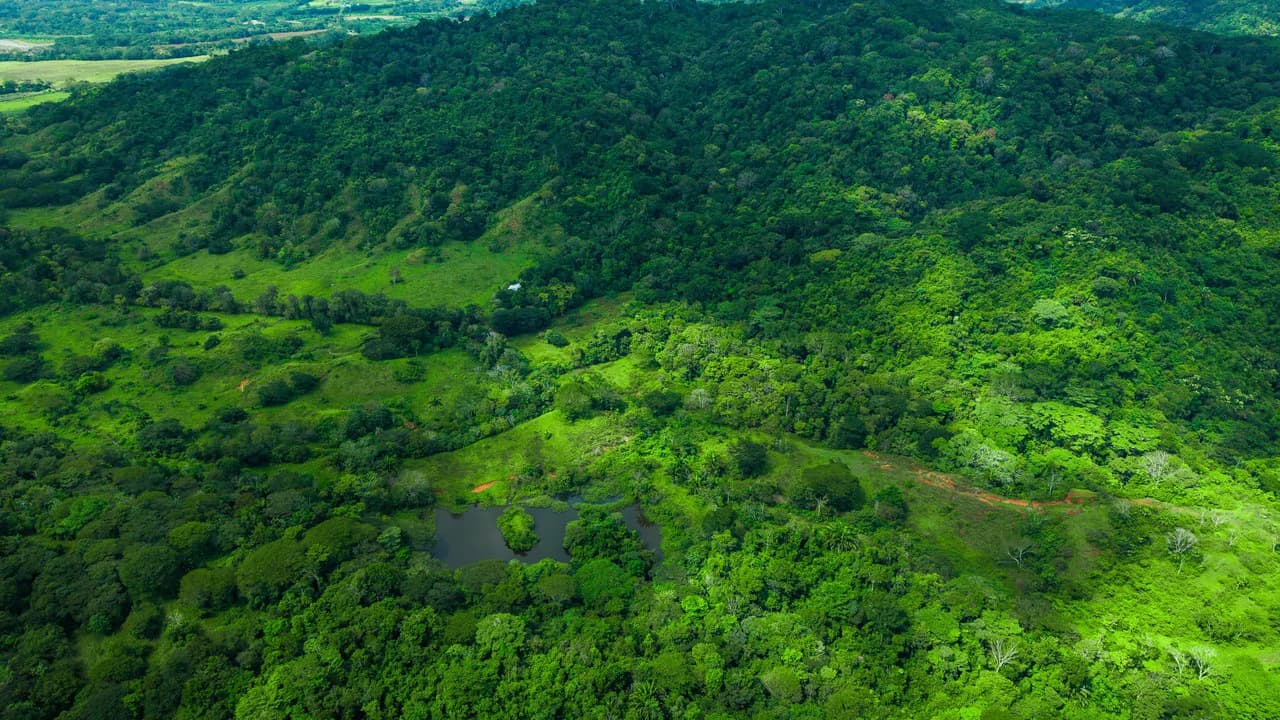 4,850 Acre Beachfront Legacy Ranch Esterillos Central Pacific Coast - photo 21