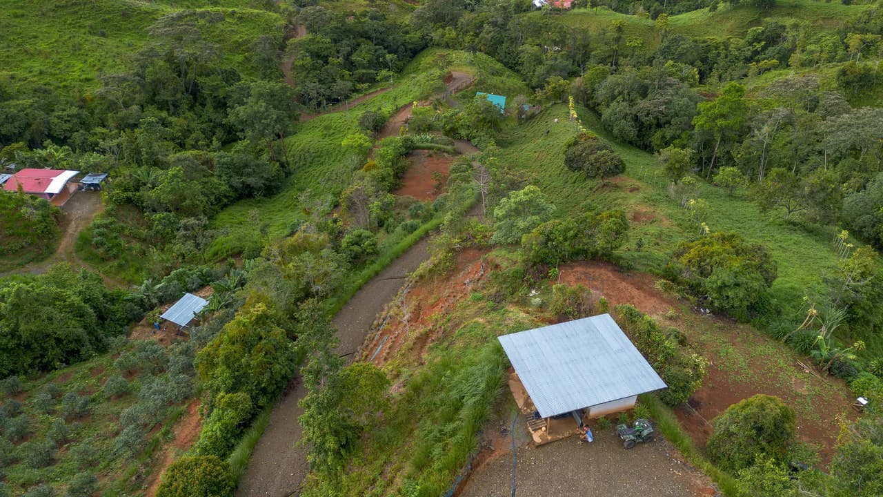 10.21 Acres with Views & Plantels – Pérez Zeledón - photo 4