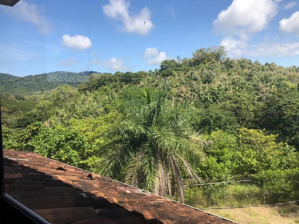 Teak Farm for Sale with a Hacienda Villa and 3 houses in La Cruz, 1 hour away from Liberia - photo 29
