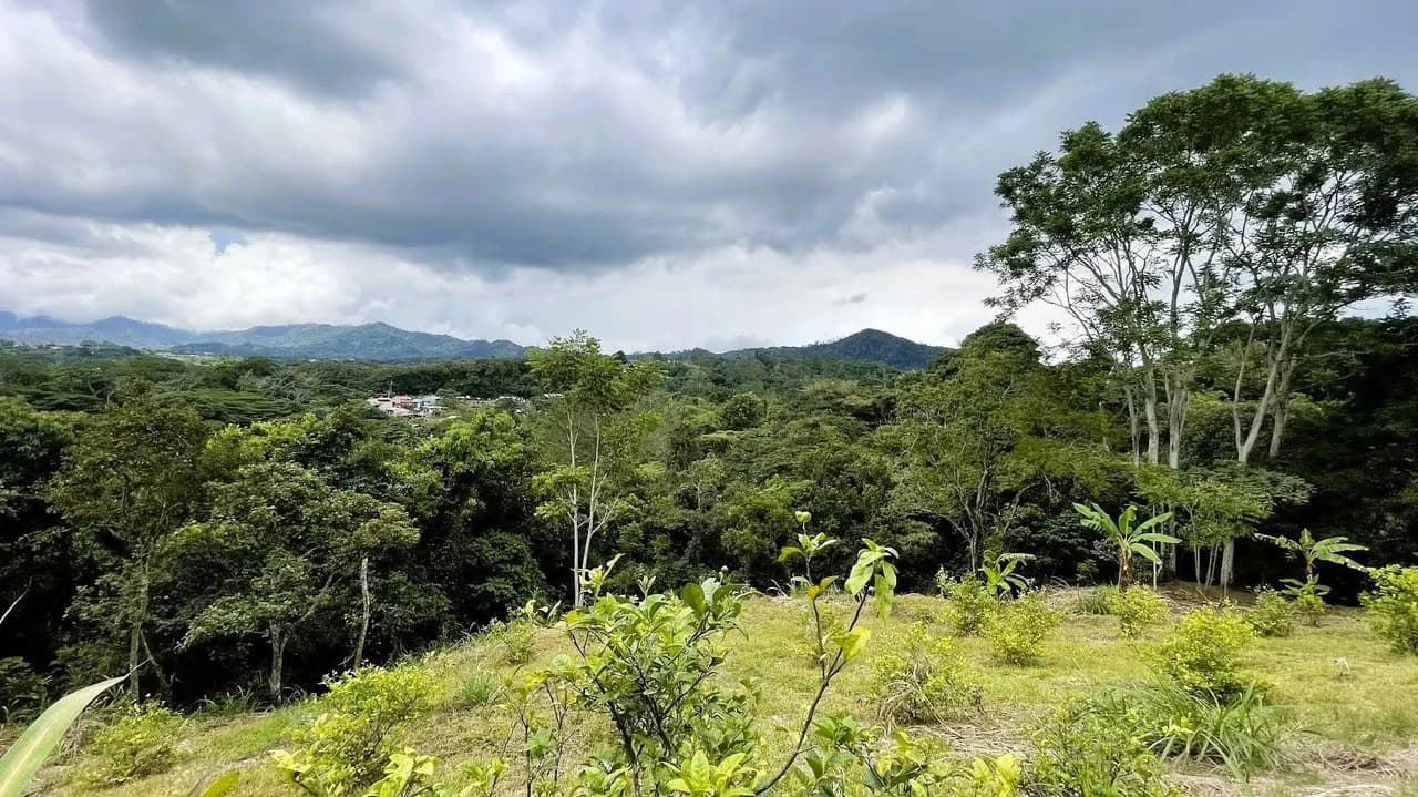 LAND FOR SALE IN SAN MIGUEL, NARANJO