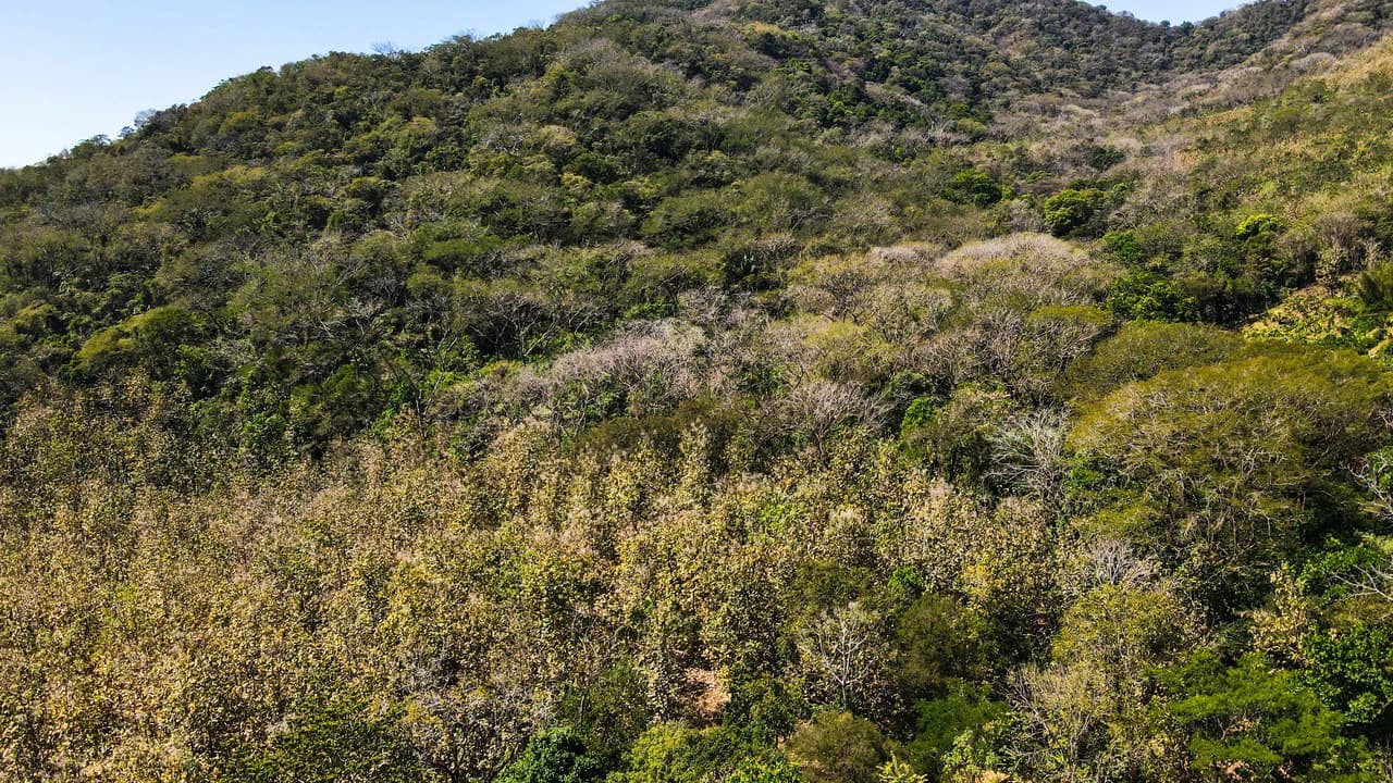 Ocean View Farm for Sale Guanacaste Costa Rica - photo 6