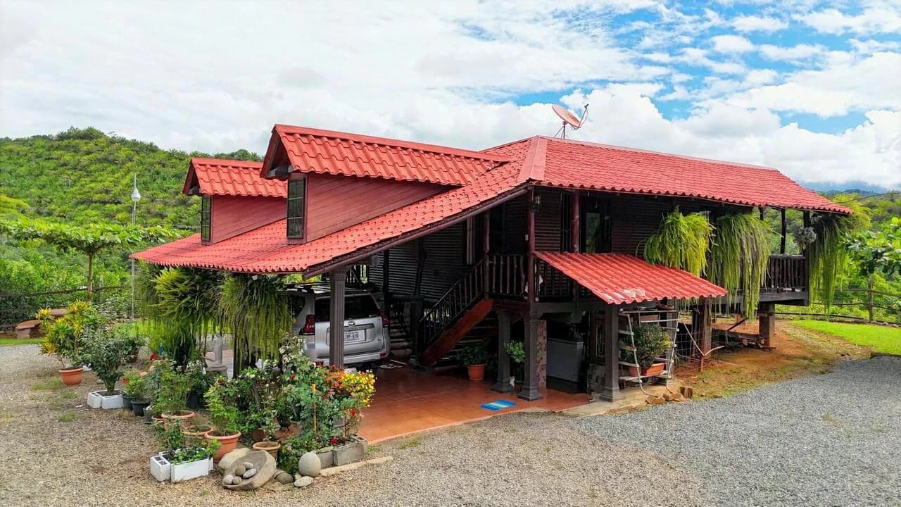 Charming Hardwood Cabin with Fruit Garden Near San Isidro - photo 10