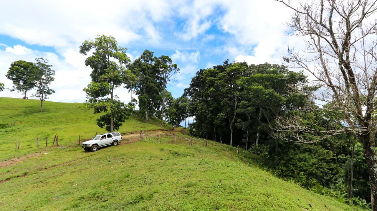 Unique Development Property Overlooking the Pristine Golfito Bay and Golfo Dulce - photo 6
