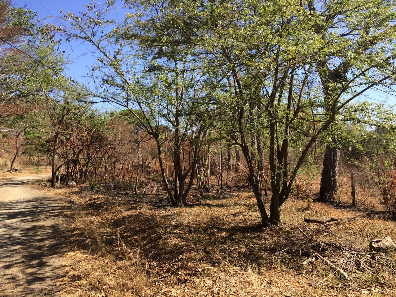Large property, close to Playas del Coco - photo 8