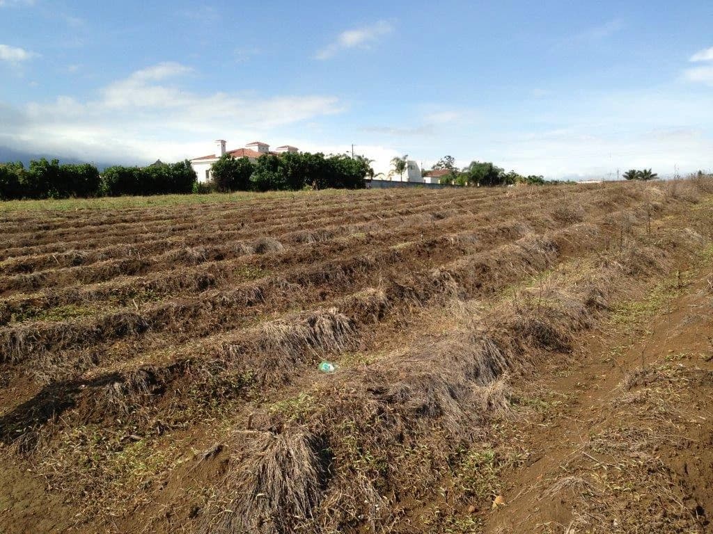 Mountain Agricultural Land For Sale in La Asunción - photo 3