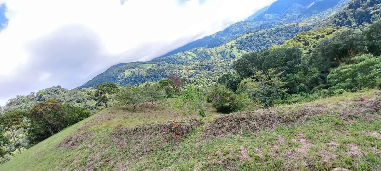 SECLUDED PARADISE WITH STUNNING VIEWS, WATERFALLS & ABUNDANT WILDLIFE - photo 31