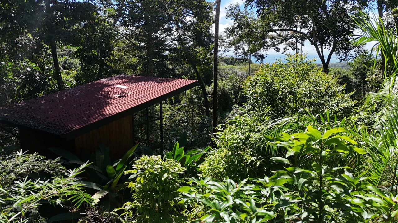 1.7 Acres Ocean View Lot with Producing Cabin in Uvita - photo 11