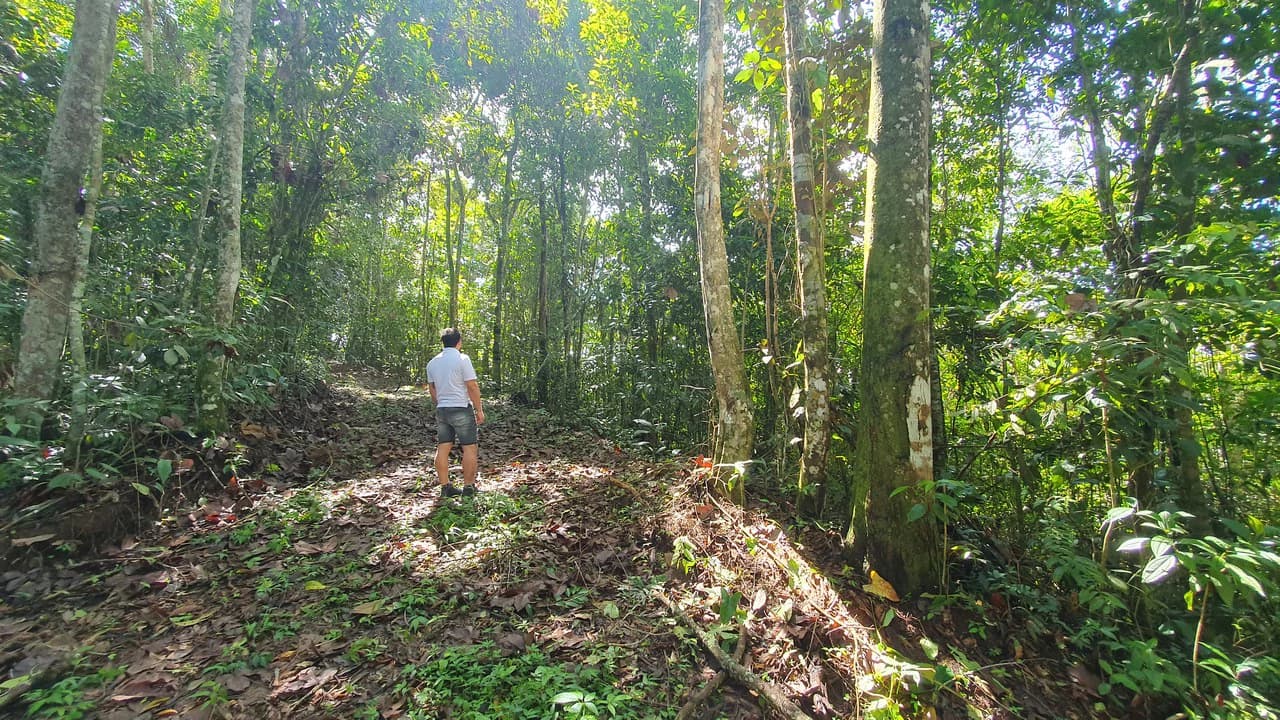 Property #2 with Bamboo Plantation, Development Opportunity (Residential, Hotel, and Industrial). - photo 4