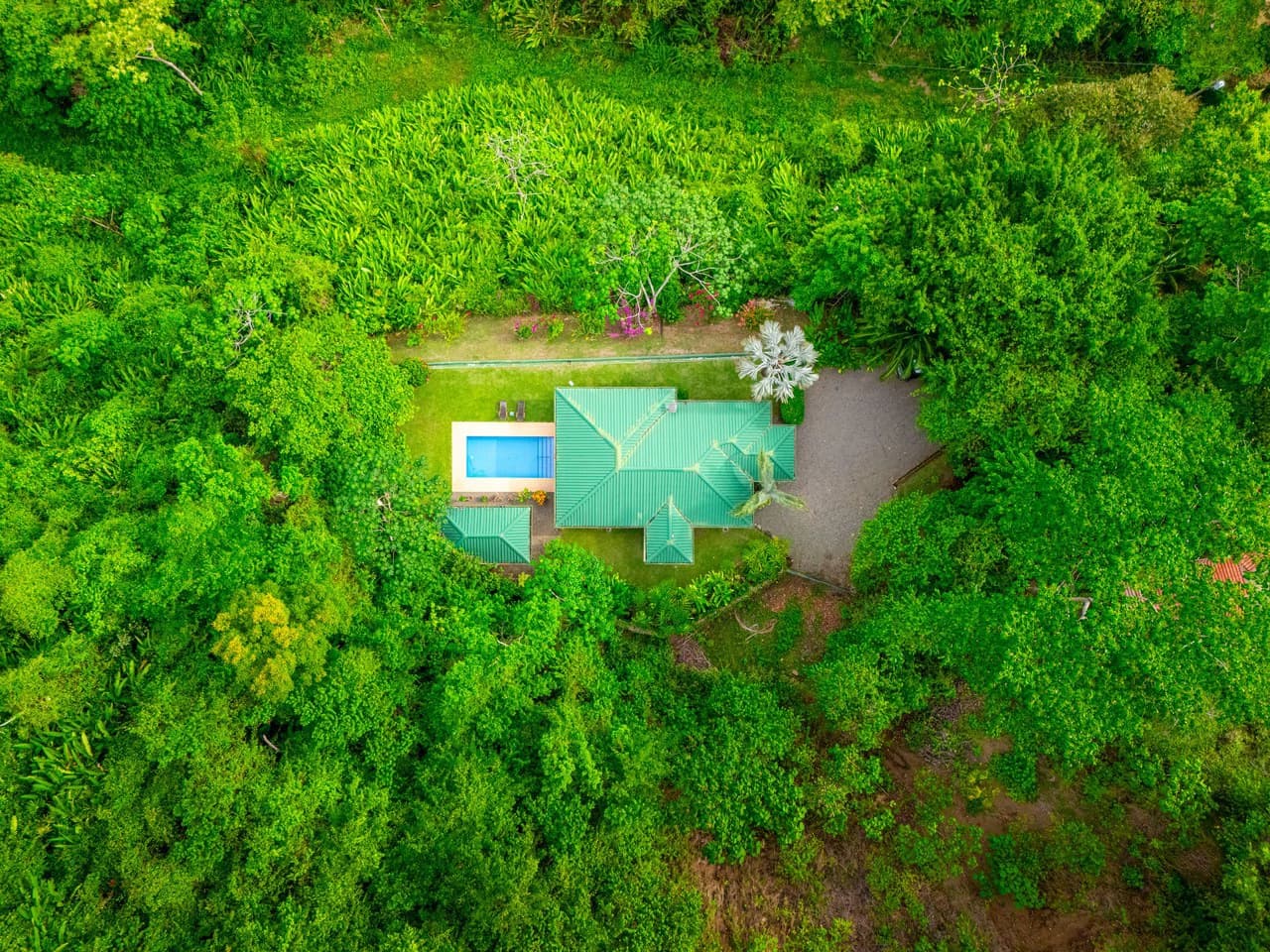 Casa Mono Titi: Front Ridge Ocean View – Tres Rios, Costa Rica - photo 4