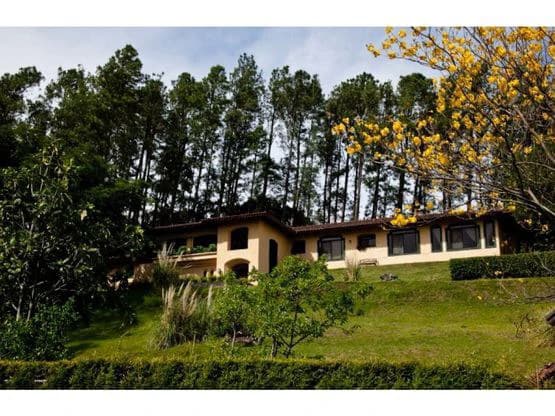 House For Sale in Piedades - photo 2