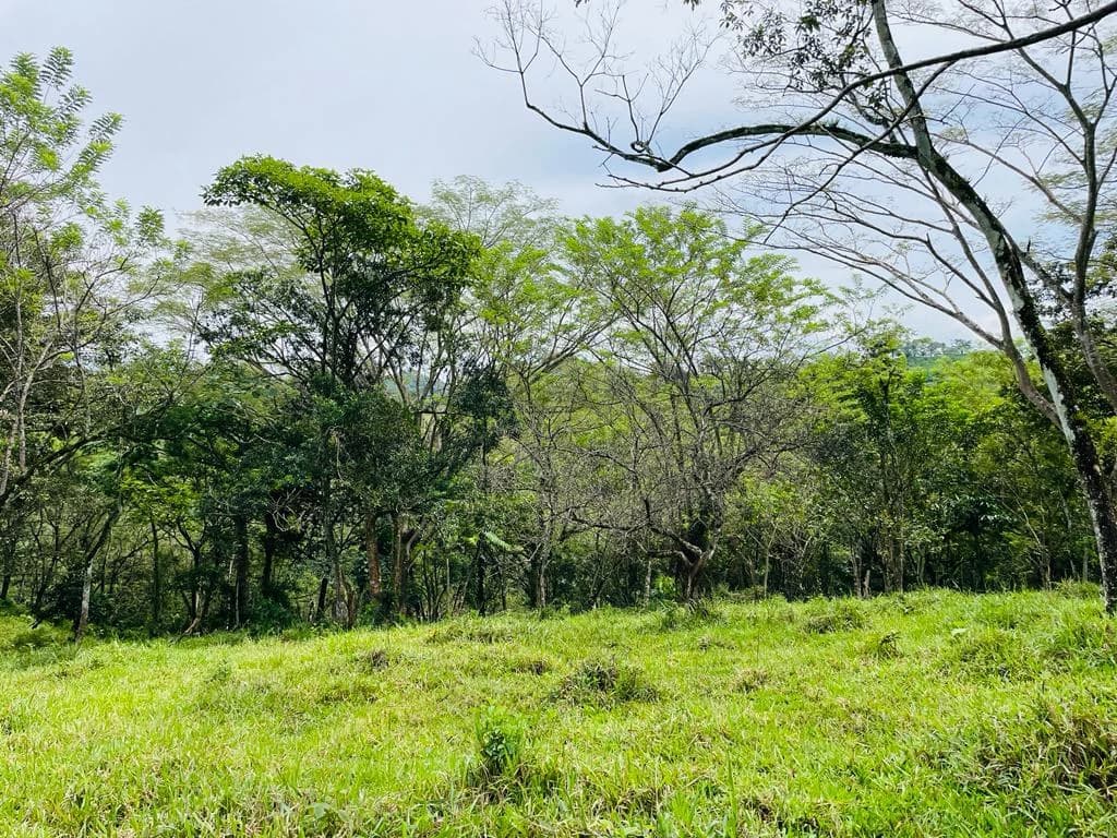 Farm for sale Puriscal Close to Universidad para la Paz Costa Rica - photo 6
