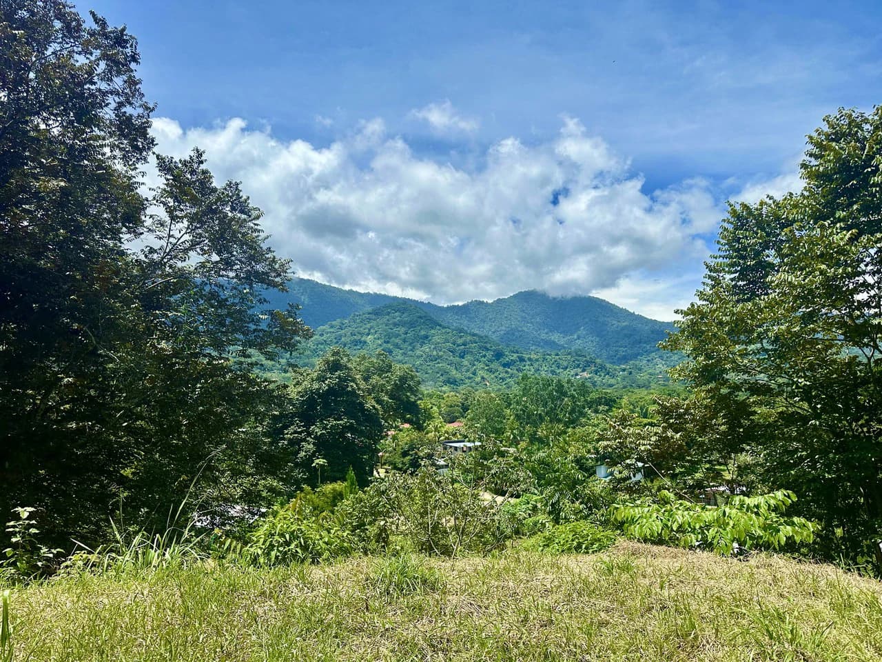 Build-Ready Lot in Ojochal’s Calle Cacique | Easy Access & Stunning Mountain Views - photo 3