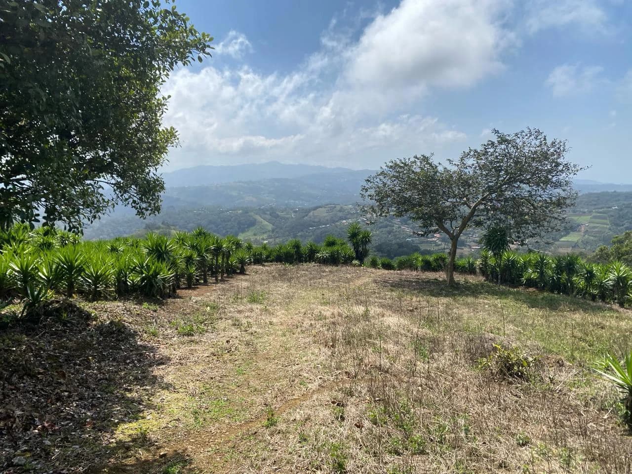 Farm with Exceptional Potential for Sale in San Ramón, Alajuela - photo 8
