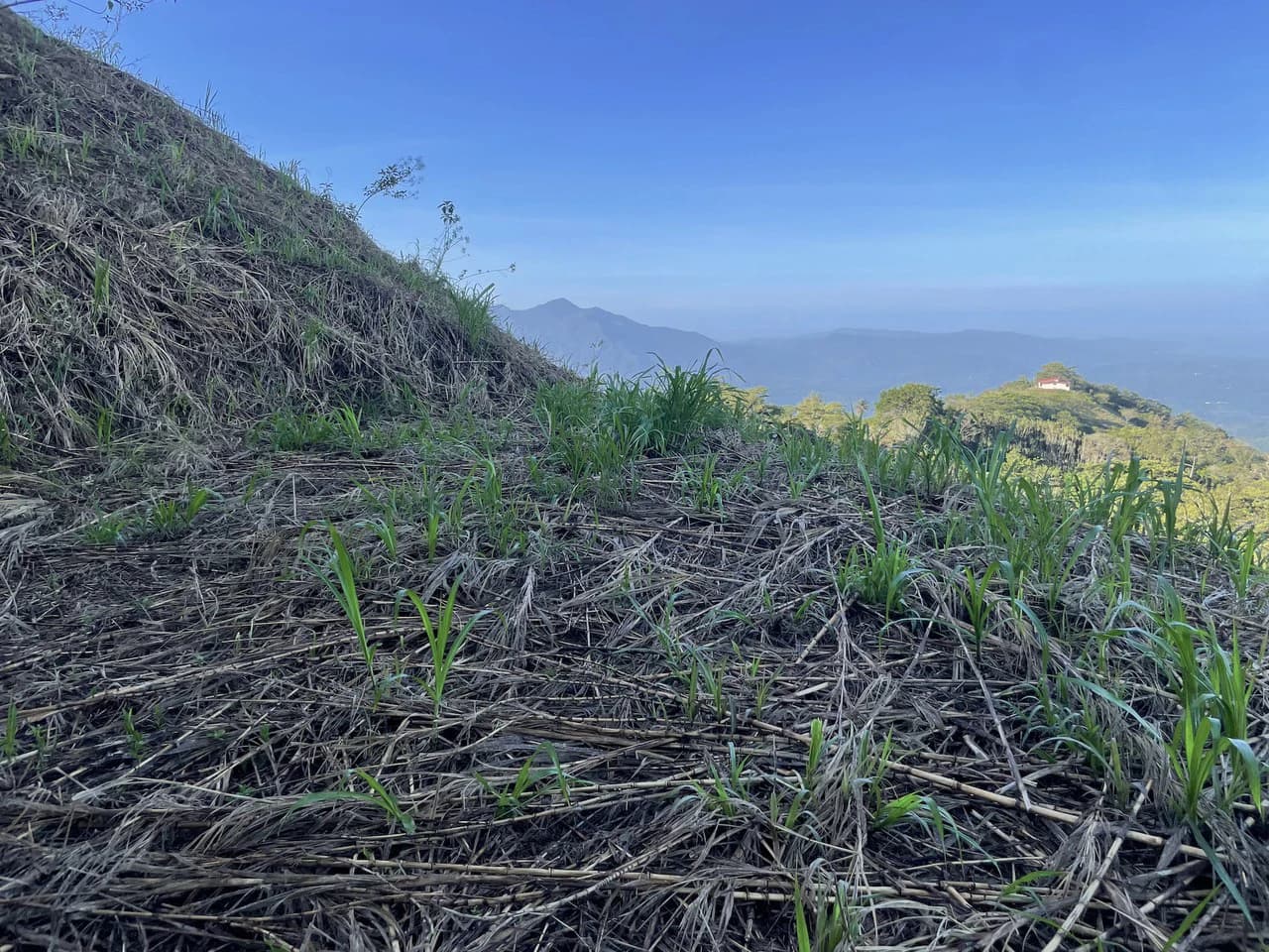 Eco-Lot #16: Ready-to-Build Sustainable Haven with Gulf & Mountain Views - photo 2