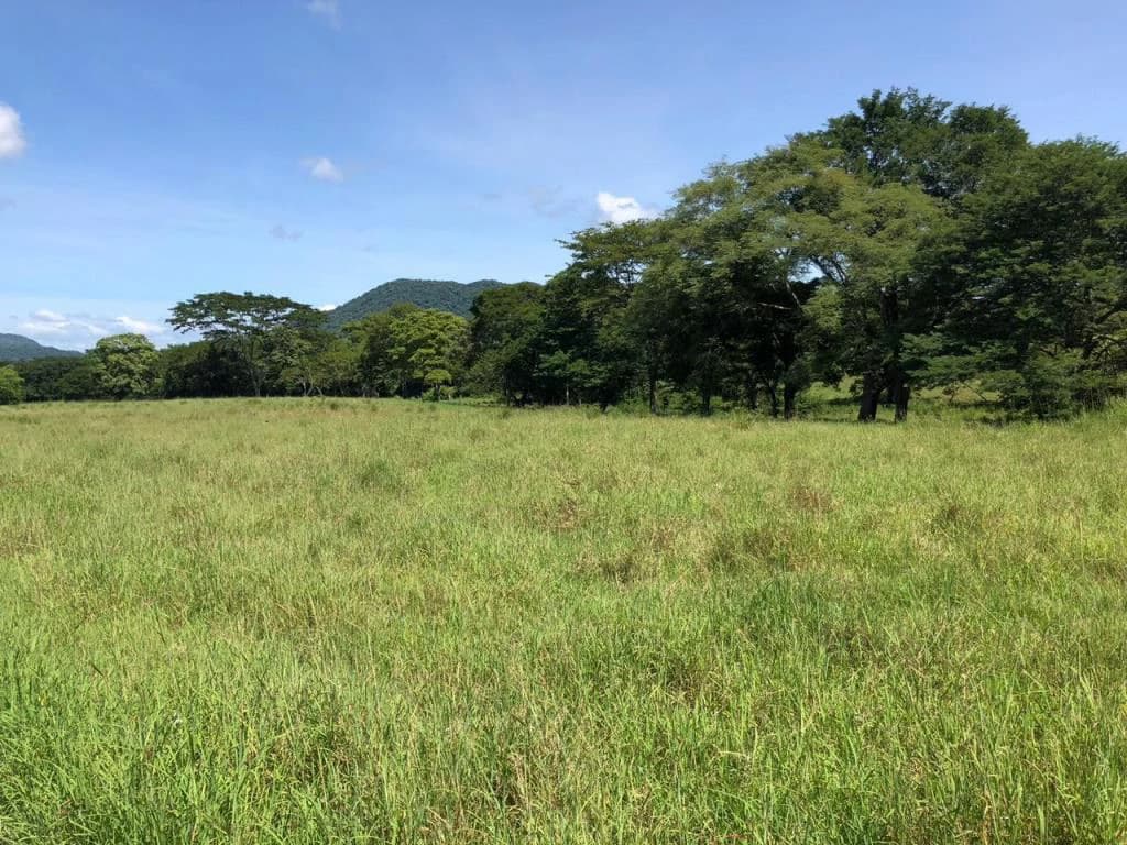Huge dream Cattle farm for sale with 2 houses close to the Gulf of Nicoya, Guanacaste, Costa Rica - photo 34