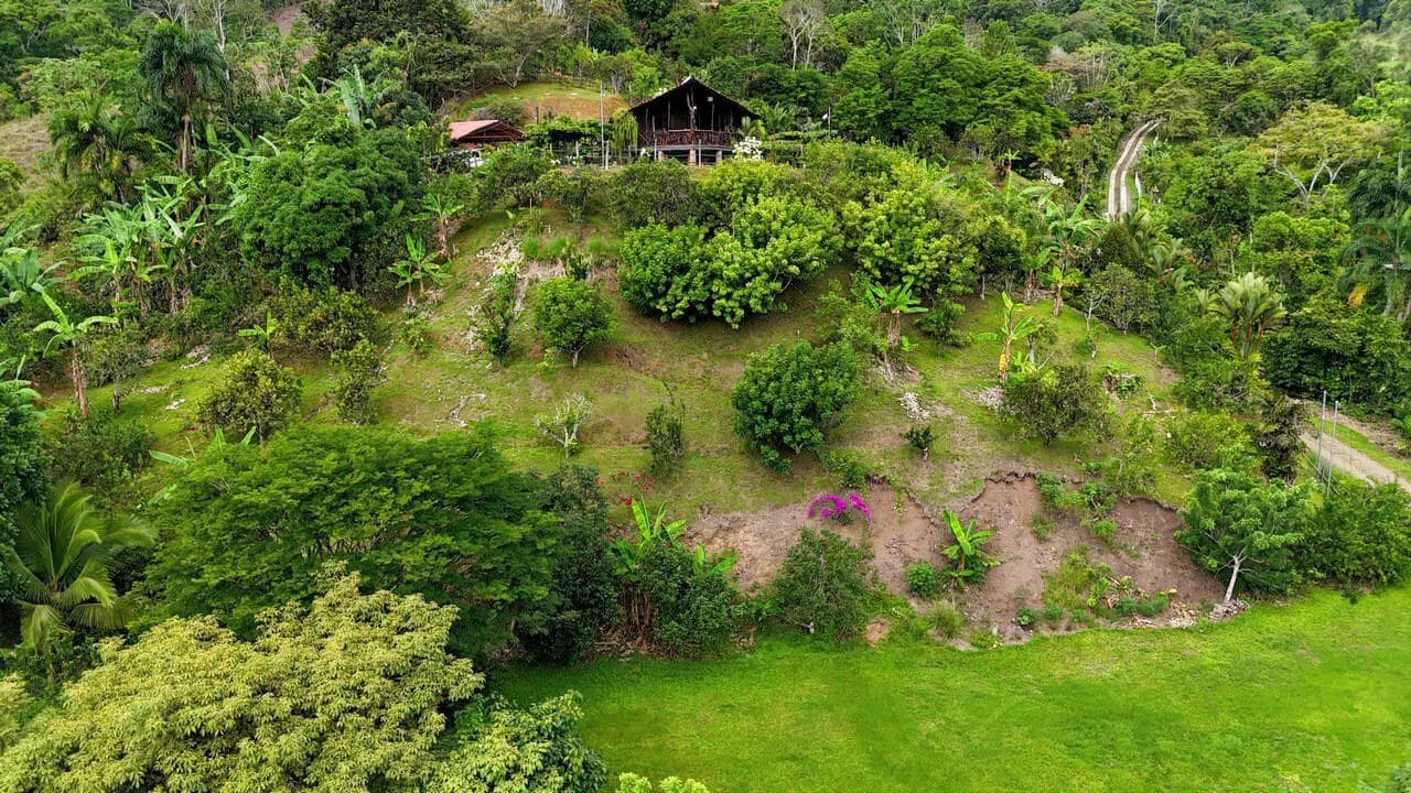 Charming Hardwood Cabin with Fruit Garden Near San Isidro - photo 60