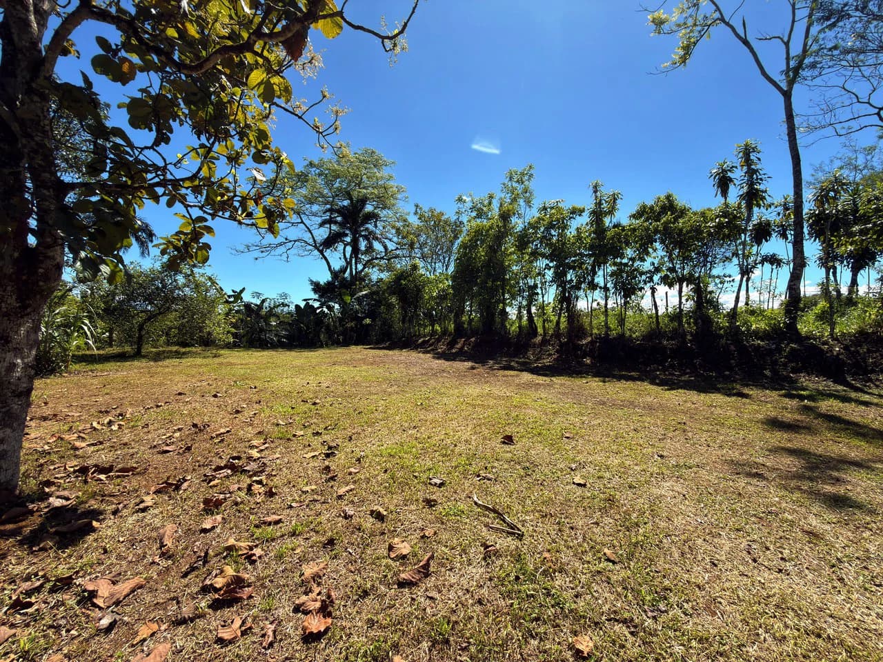 Countryside Home Construction Site For Sale in San Pedro - photo 20