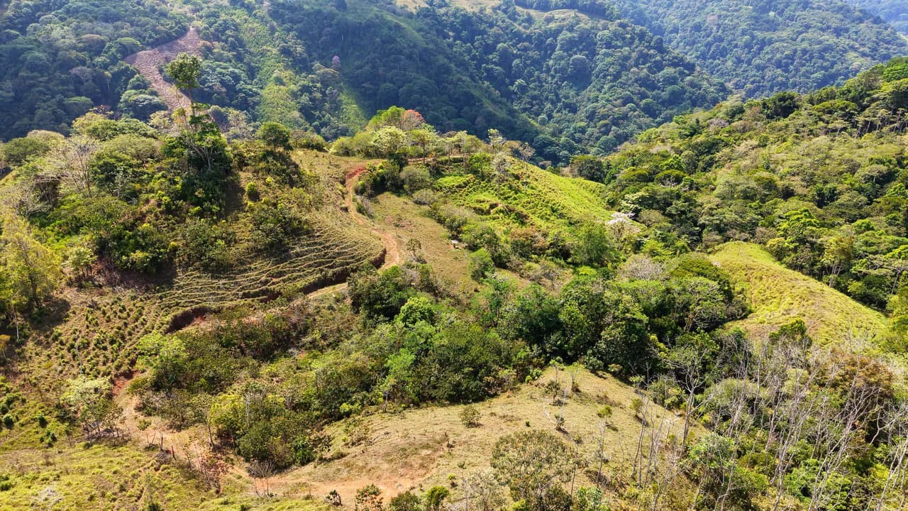 2.8 HA FARM FOR SALE IN SAN LUIS DE MORETE | MOUNTAIN VIEWS AND NEAR THE OCEAN - photo 12