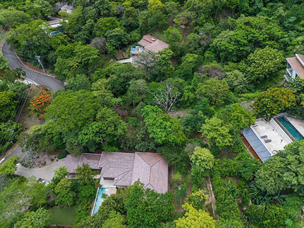 Lot 24 Cara Cara: Exceptional Forest Homesite in Las Ventanas de Playa Grande - photo 5