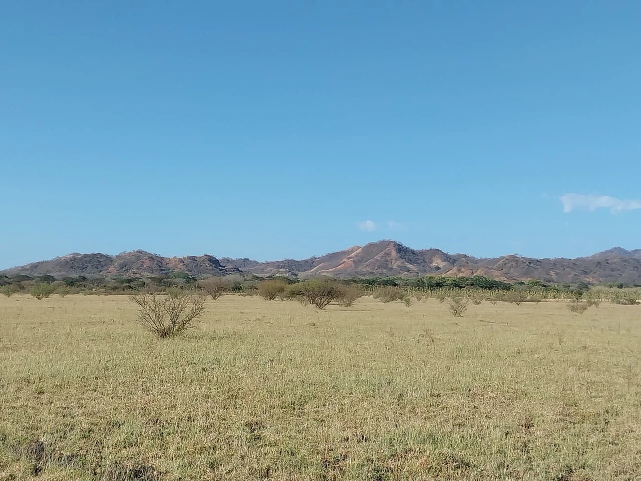 Bonita Finca de 187 Acres / 75 Ha. con Pozos y Ojo de Agua en Filadelfia - Costa Rica: Countryside, Lakefront and Riverfront Agricultural Land For Sale in Fildelfia