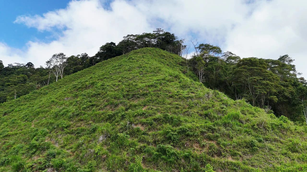 Mountain Agricultural Land For Sale in San Isidro del General - photo 7