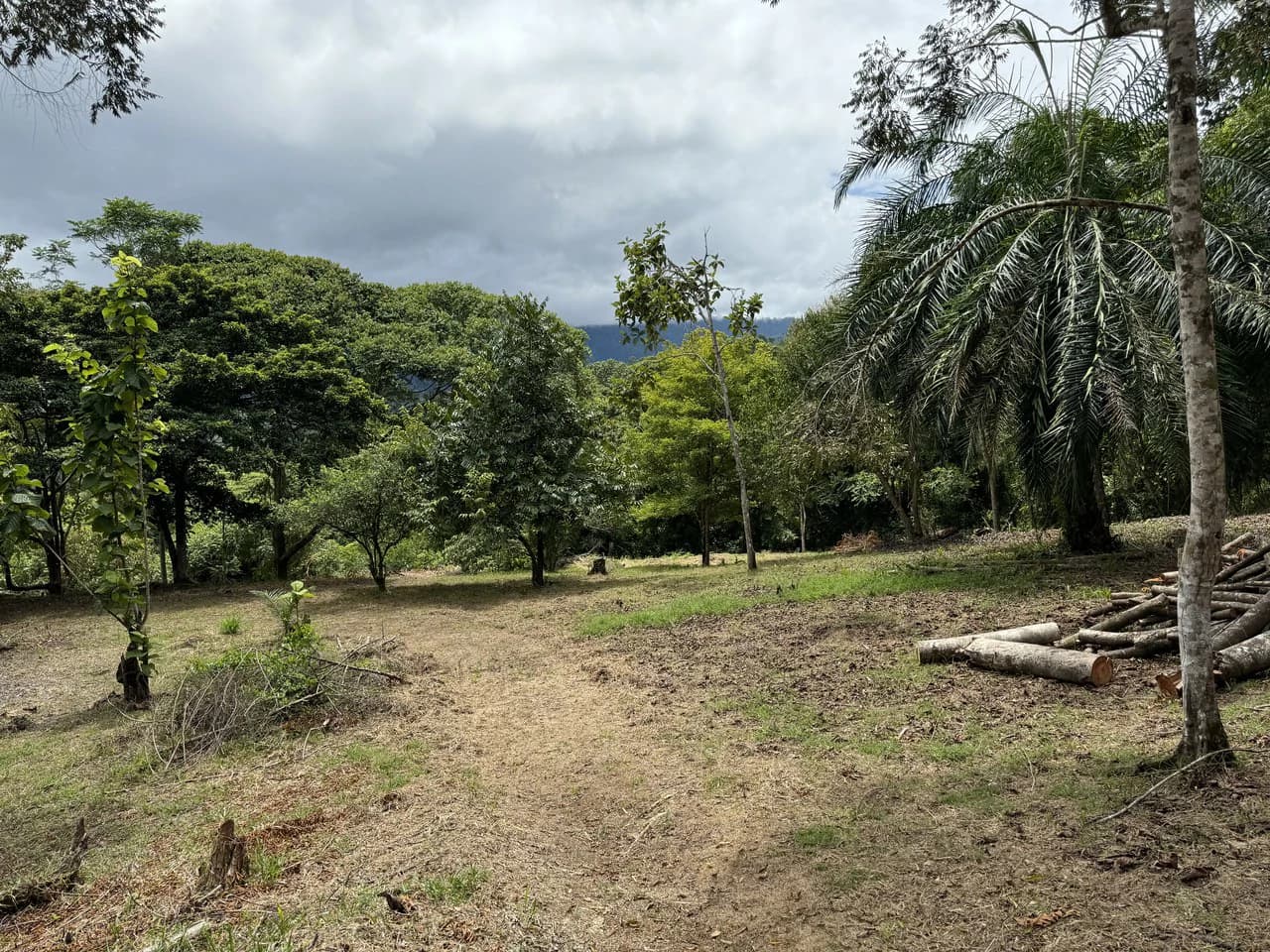 Diamante Waterfall View Land in Dominical 2.9 Acres - photo 13