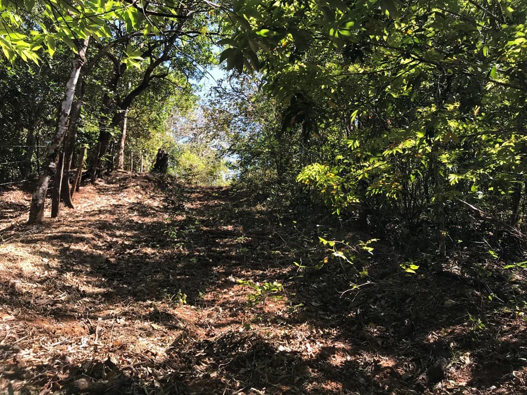 Ocean view farm for sale in the mountains of San Juanillo - photo 18