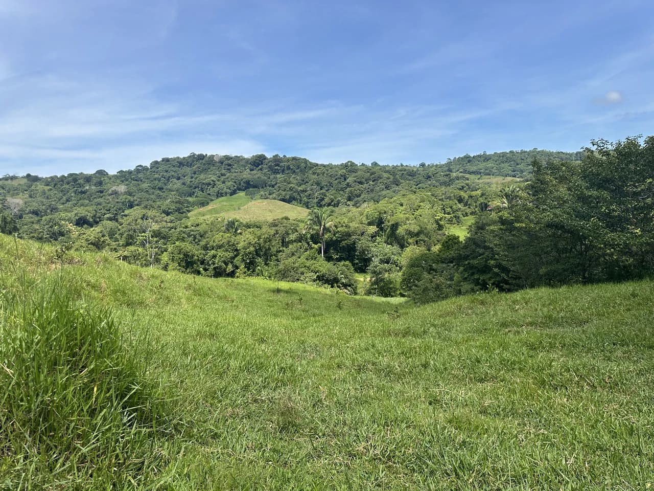 8.78 Acres Mountain View Estate with Water, Infrastructure & Endless Development Potential | Platanillo de Barú, Costa Rica - photo 15