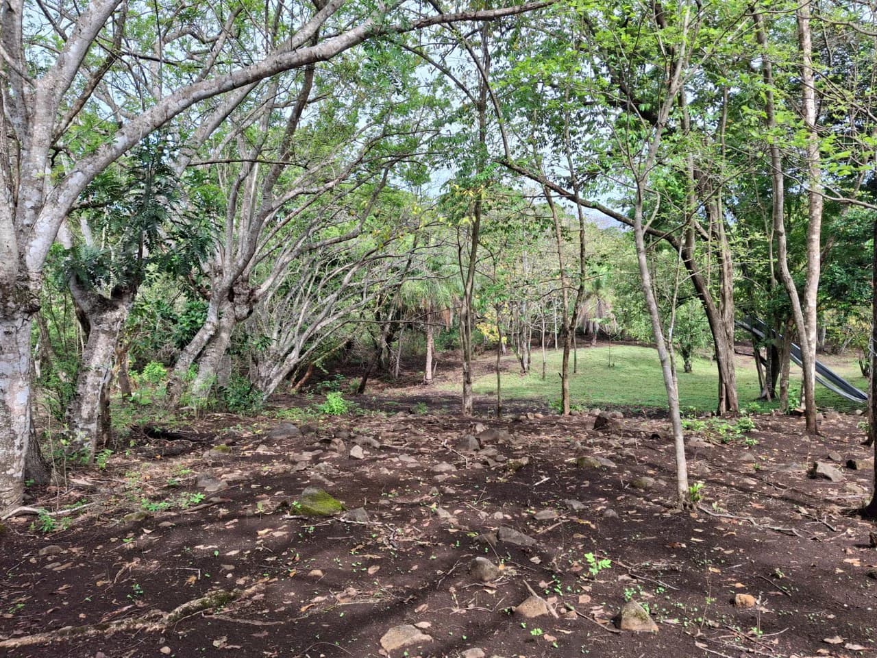 Finca Nature: Beautiful Private Finca near Atenas! - photo 5