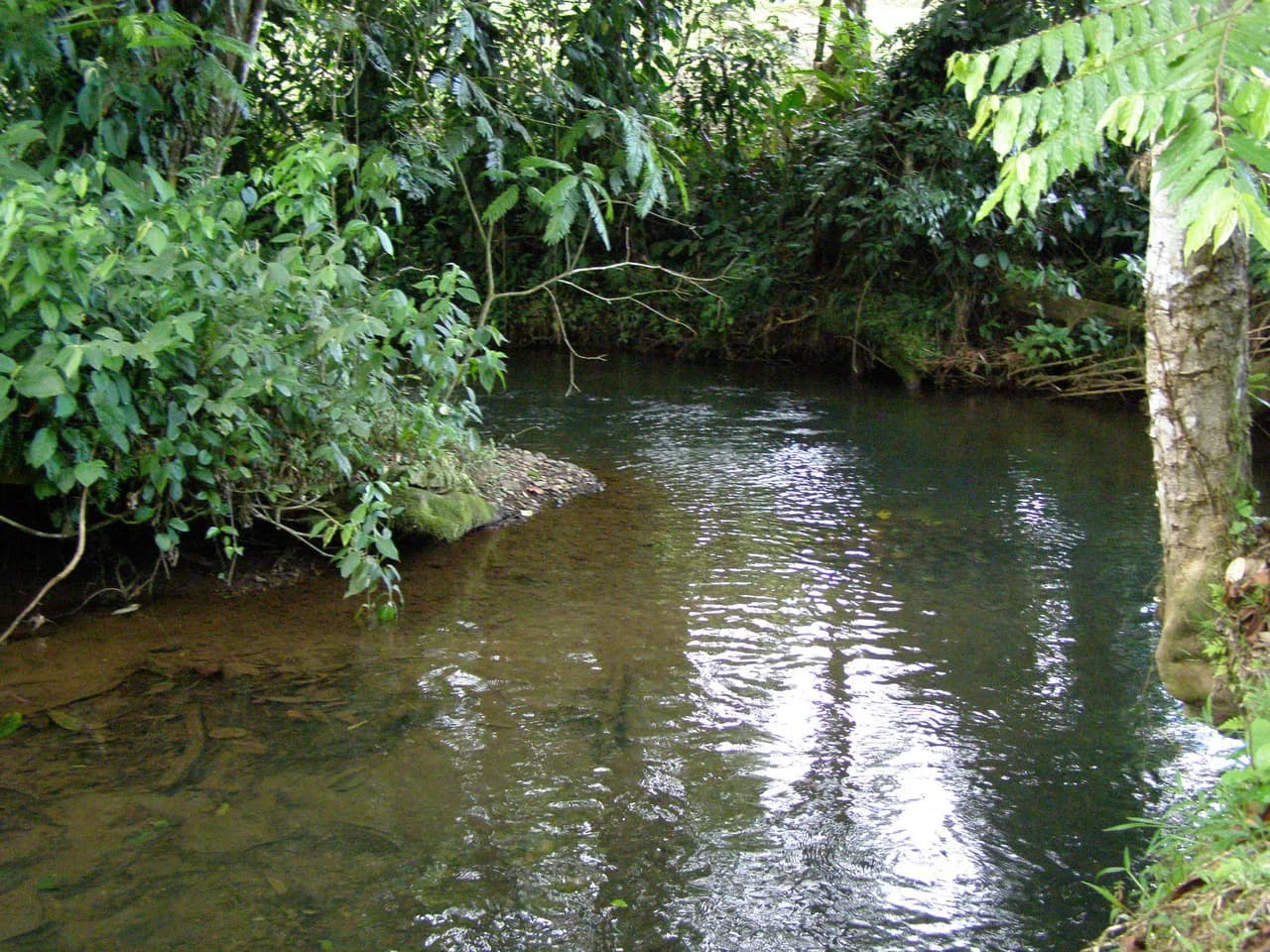 ECO SENDEROS: PRIVATE RAINFOREST RESERVE | 33 HA, LA VIRGEN DE SARAPIQUÍ - photo 10