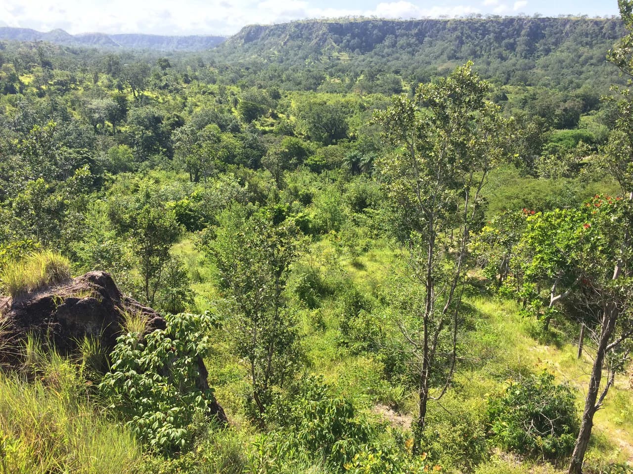 Finca de 31 hectáreas en Liberia: Great investment opportunity - photo 11