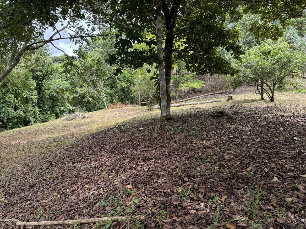 Diamante Waterfall View Land in Dominical 2.9 Acres - photo 9
