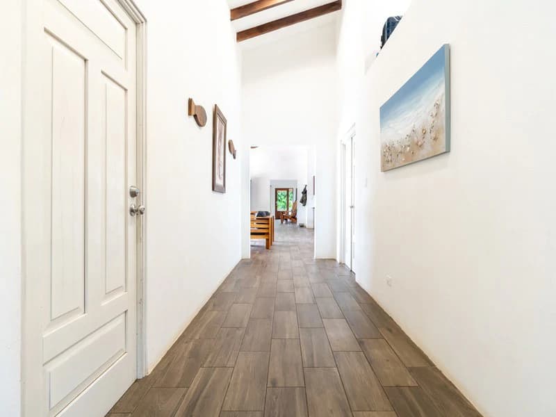 Ocean-View Oasis on Coveted Calle Perezoso - photo 35