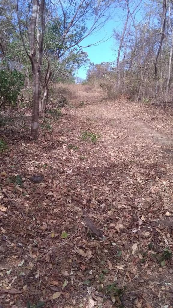 Huge agricultural land for sale near Liberia – excellent investment opportunity with river frontage in Bagaces - photo 2