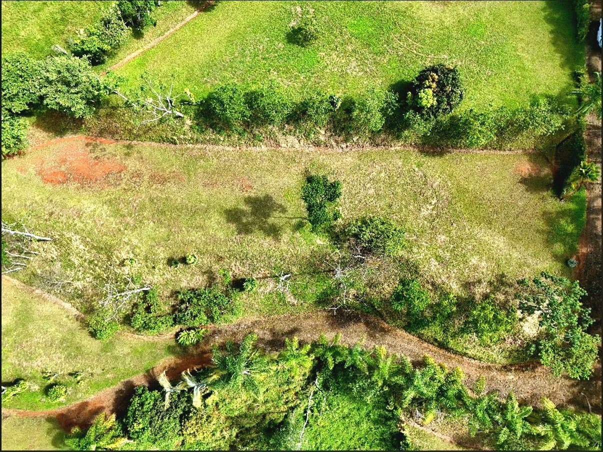 Mountain Home Construction Site For Sale in Miravalles - photo 2