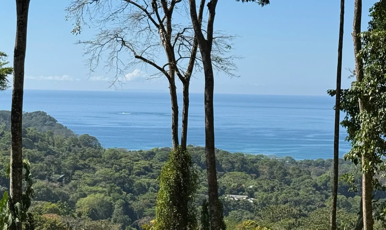 Two Ocean View Lots in Uvita – Easy Access and Large Building Sites - photo 12