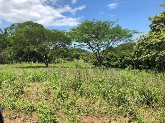 Amazing 50% discount for Huge ocean-view farm for sale surrounded by soft rolling hills and pristine nature - photo 16
