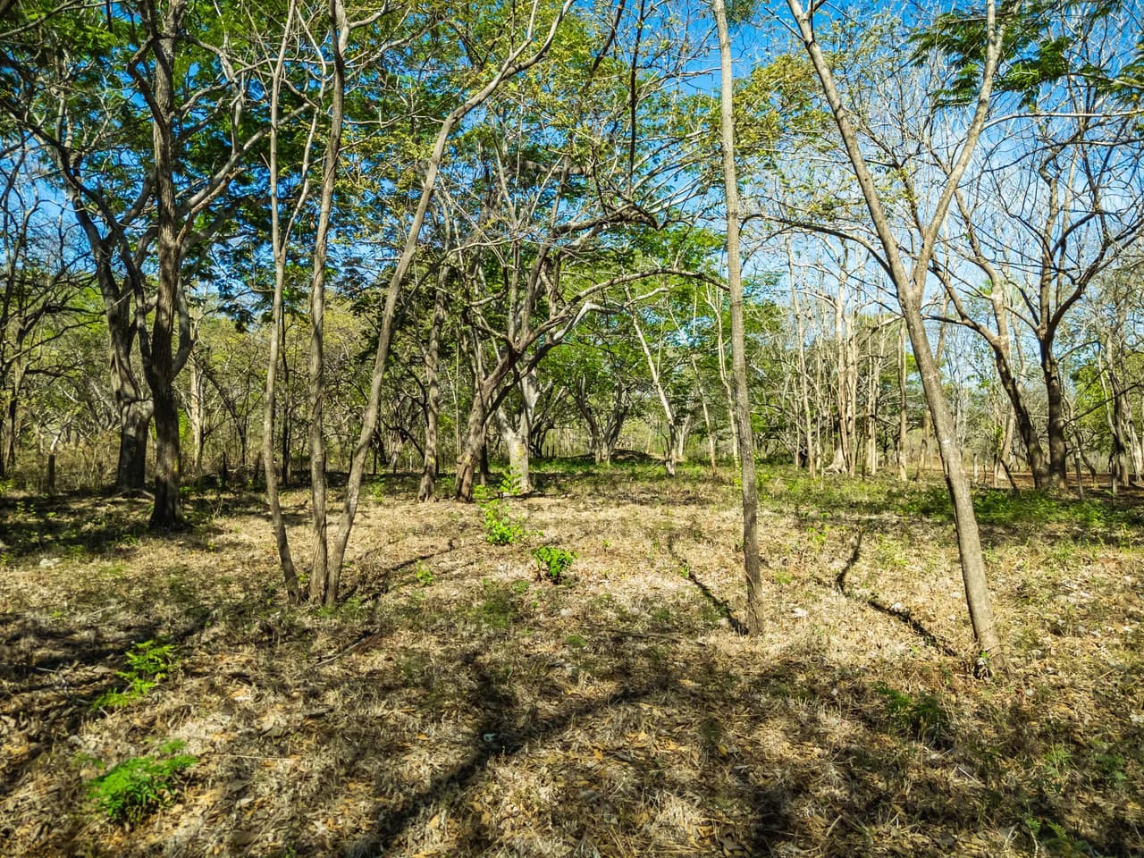 Bosque Escondido: Mixed-Use Lot Steps from Avellanas Beach - photo 11