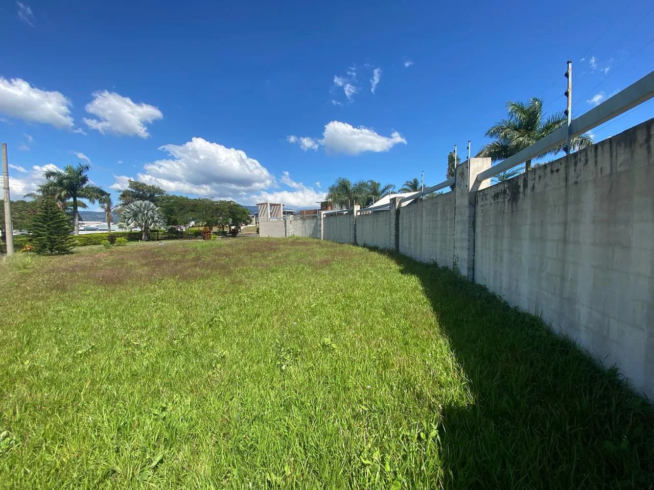 LARGE LOT FOR SALE, ALAJUELA, GREECE - photo 5
