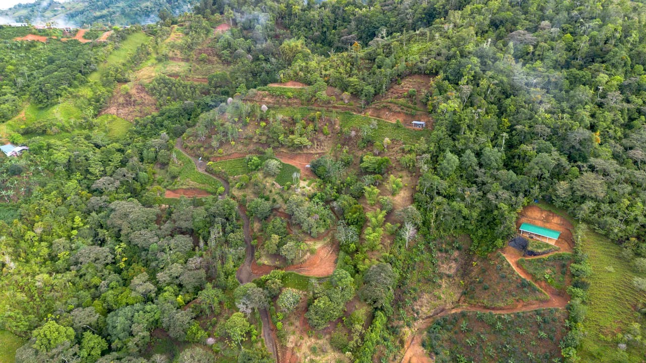 10.21 Acres with Views & Plantels – Pérez Zeledón - photo 14