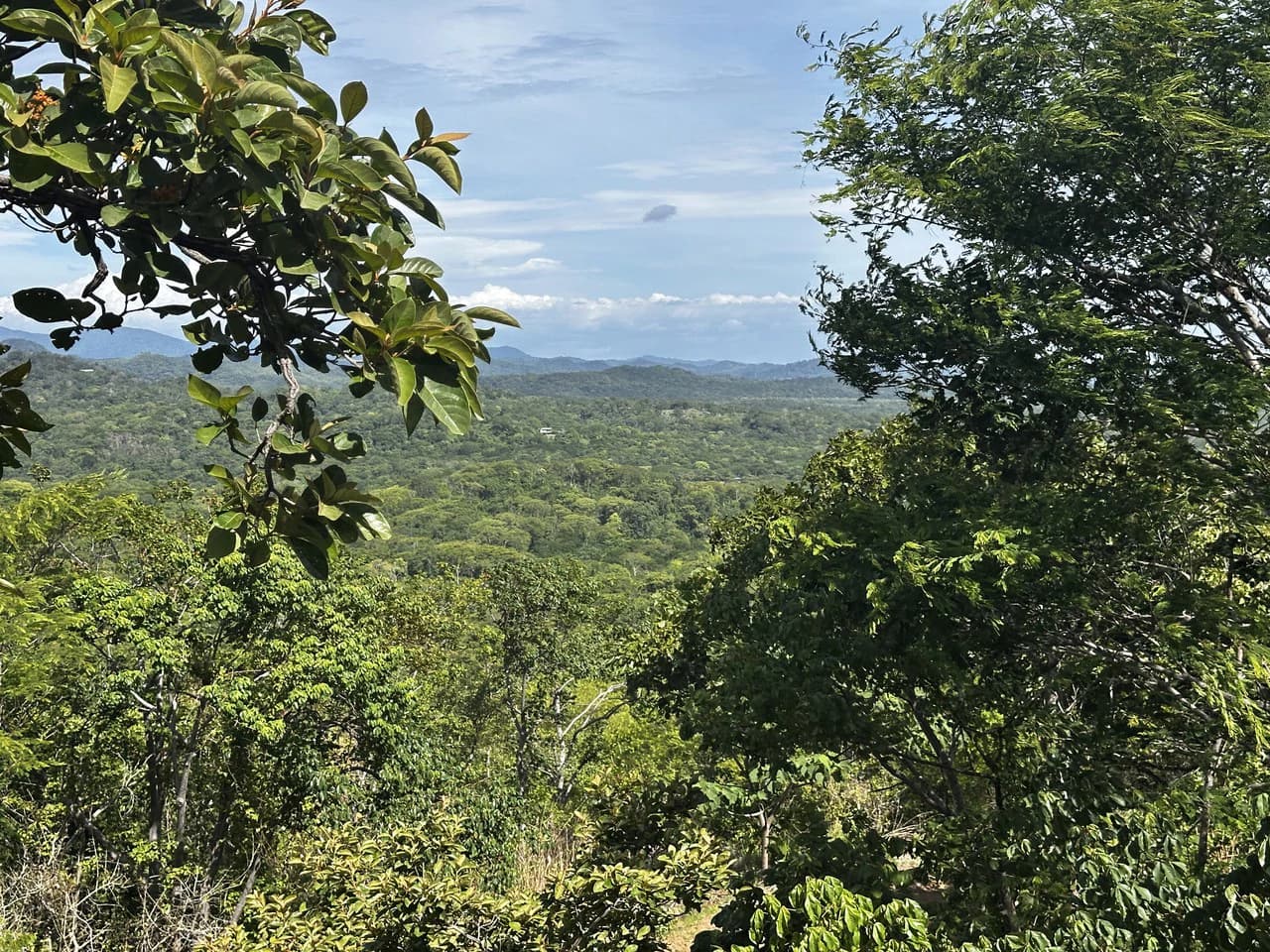 Ocean View Lot Negra Beach: Ocean View Hilltop Lot In Negra Beach, Finca Los Pargos - photo 15